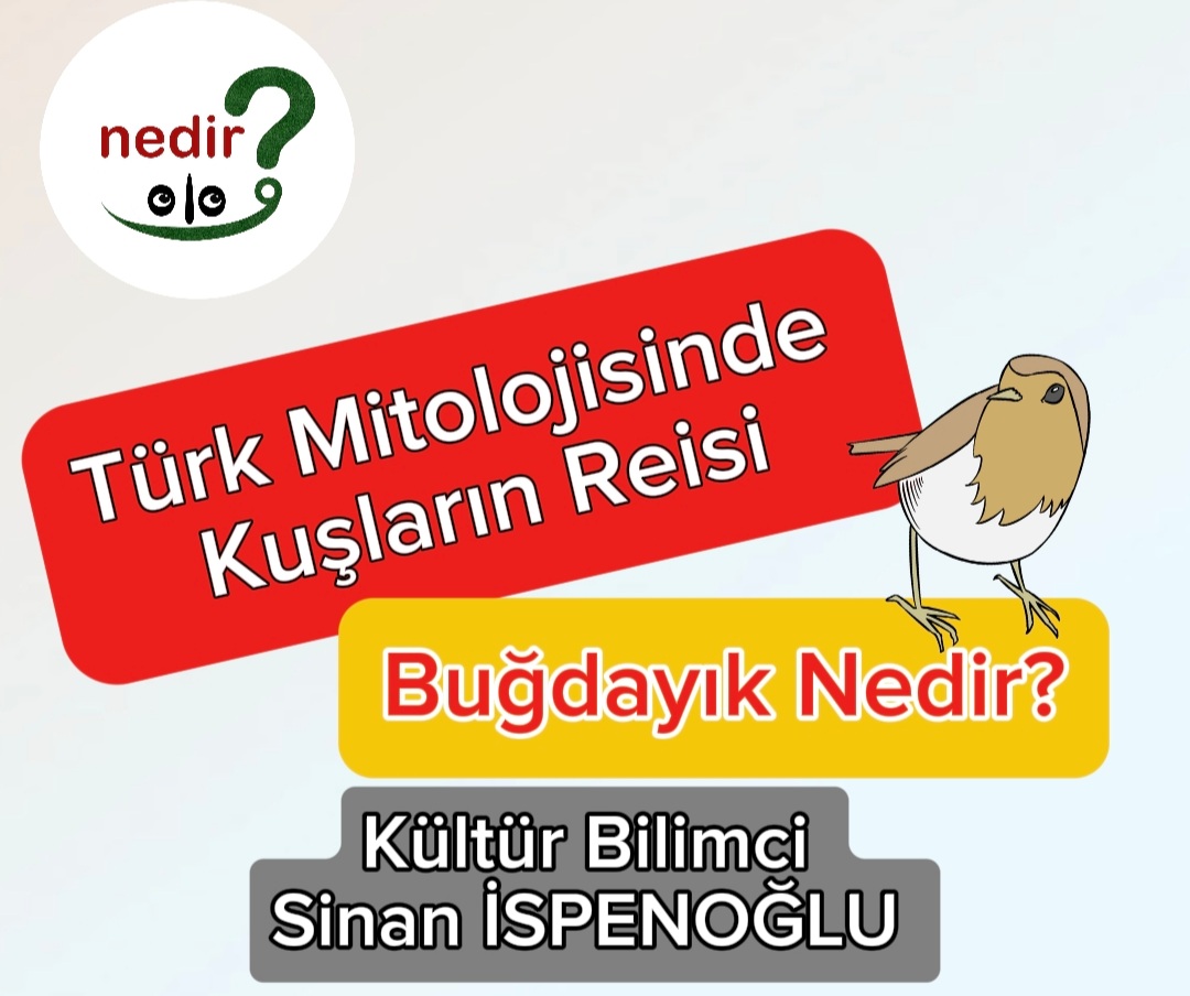 Türk Mitolojisinde Kuş Reisi; Buğdayık nedir?